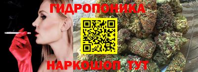 мдпв Дубна